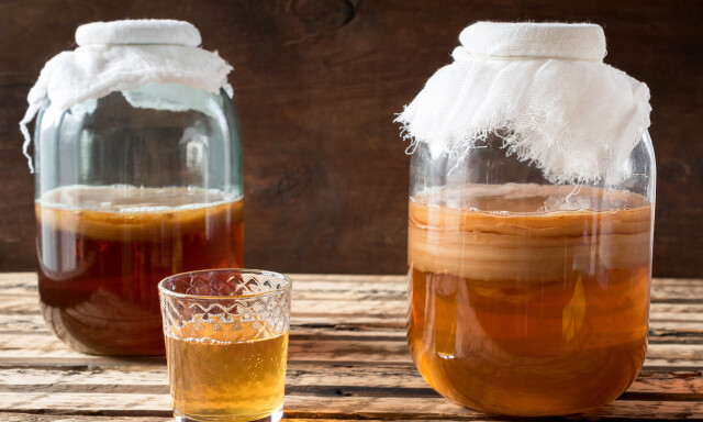 Kombucha fermenteres ved hjelp av en scoby, en bakterie- og gjærkultur med fast konsistens. Foto: NTB Scanpix / Shutterstock Kombucha fermenteres ved hjelp av en scoby, en bakterie- og gjærkultur med fast konsistens. Foto: NTB Scanpix / Shutterstock